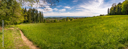 Along the premium hiking trail "GuckInsLand" near Markdorf on Lake Constance