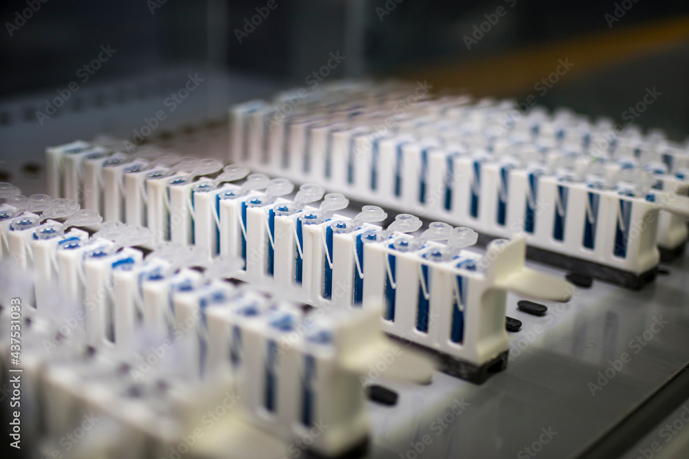 Test tubes in the laboratory in which PCR tests are done for the determination of coronavirus Test tubes in the laboratory in which PCR tests are done for the determination of coronavirus