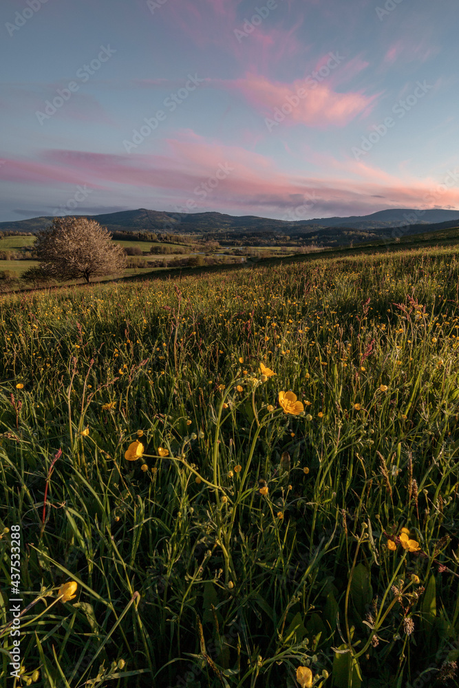 Fototapeta premium sunset in the mountains