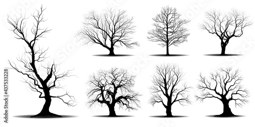 Set Black Branch Tree or Naked trees silhouettes. Hand drawn isolated illustrations.