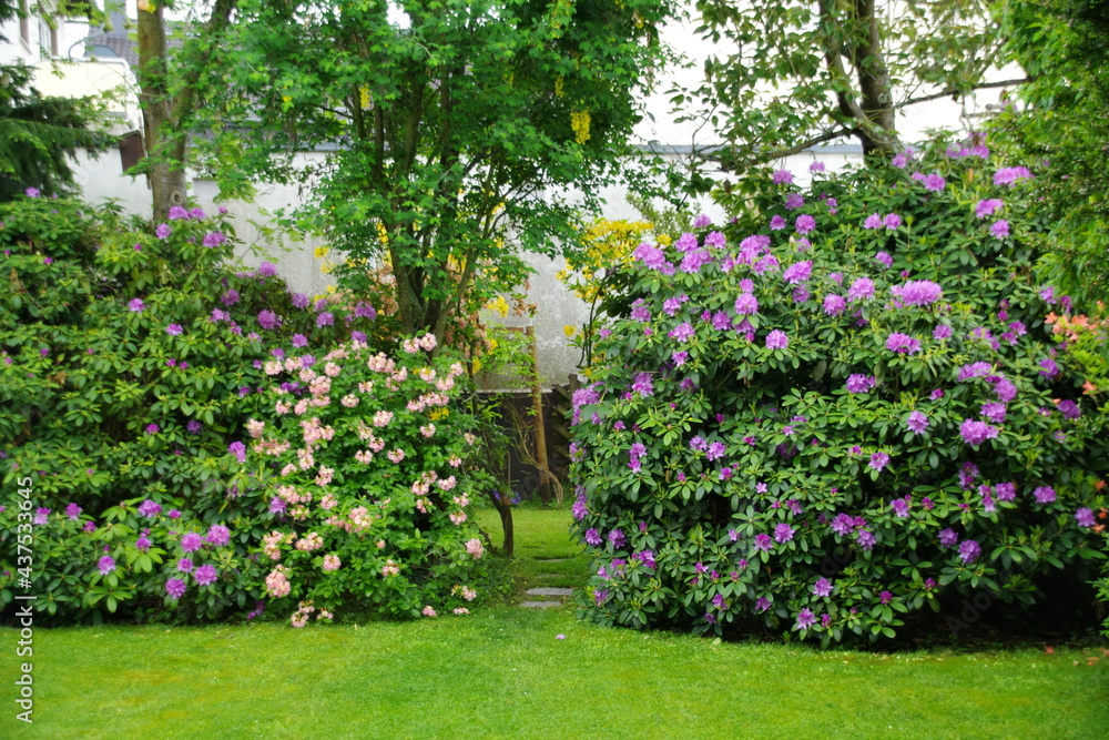 Garten Garten