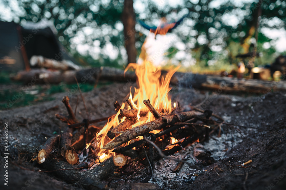 Big bonfire in the forest, camping Big bonfire in the forest, camping