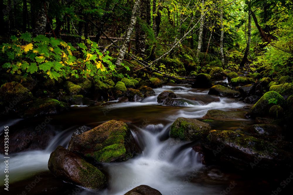 Obraz premium waterfall in the forest