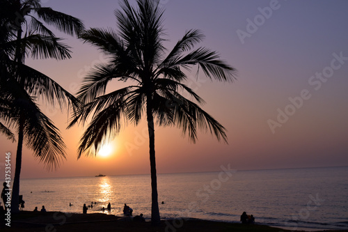 palm trees at sunset | silhouette of trees at sunset | sunset in the palm | sun between palm | silhouette of a persons on the beach 