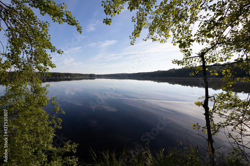 sprig lake reflection
