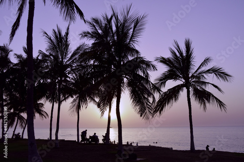 silhouette of trees at sunset | sunset in the palm | sun between palm | silhouette of a persons on the beach 