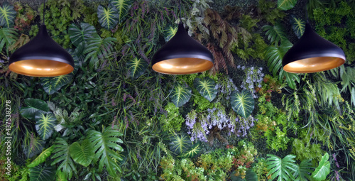 artificial plant decoration on wall