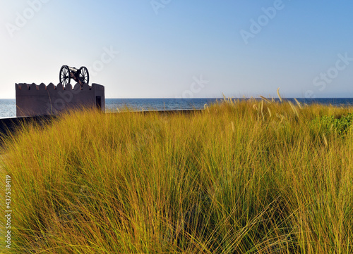View of beach and grass | Oman muscat city 