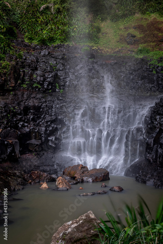 Water streams and falls in rainforest, Springbrook National Park, Queensland, Australia © John