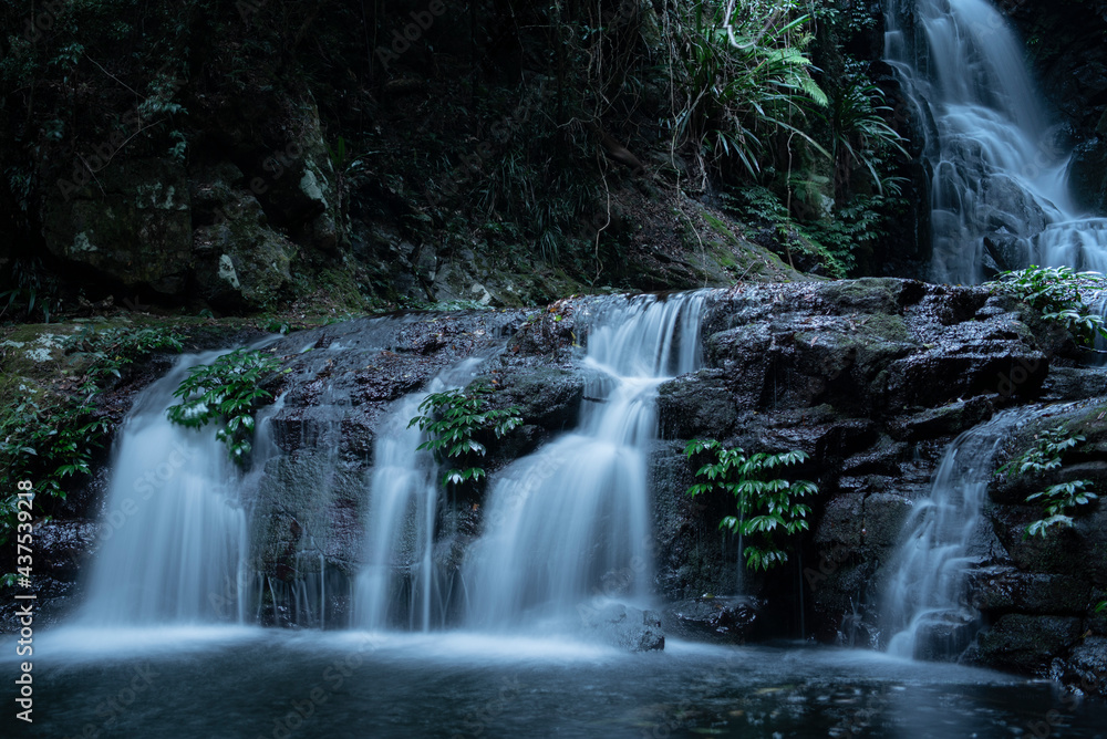 Obraz premium Box Log Falls, Lamington National Park, Queensland Australia