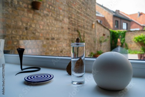 Obraz na płótnie Scène d'intérieur, vue sur jardin w salonie