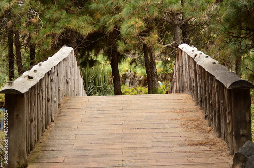 Wooden brigde on a forrest photo