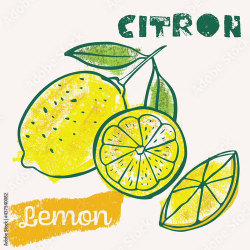 Lemon line art and color hand-drawn vector illustration. Rough crayon strokes doodle in an expressive loose coloring book style