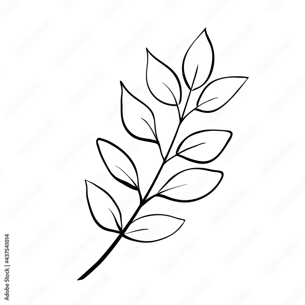 Simple doodle sketch of floral twig with leaves