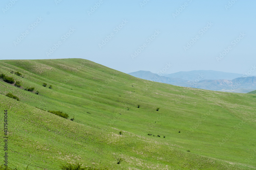 Fototapeta premium landscape with sky