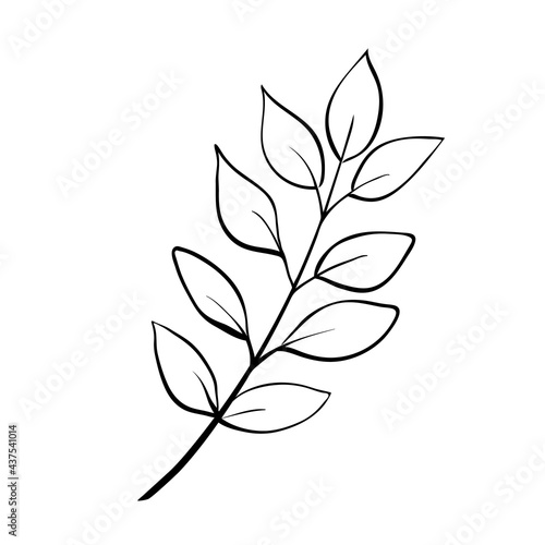 Simple doodle sketch of floral twig with leaves