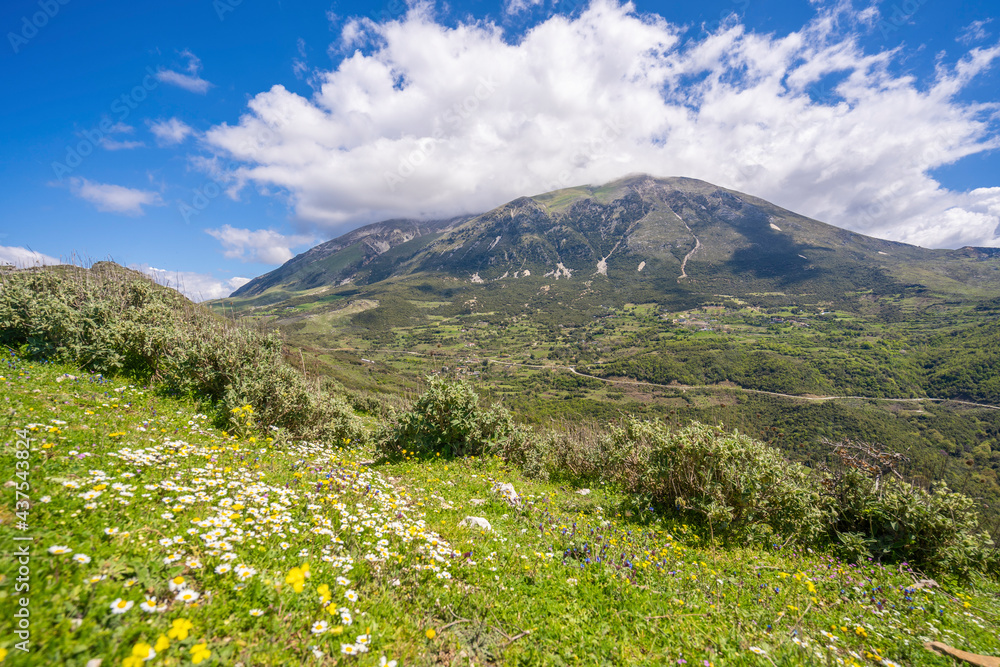 Beautiful landscape on mountain with nice sky