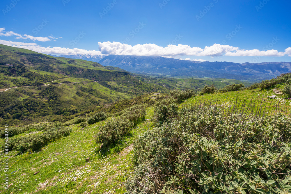 Beautiful landscape on mountain with nice sky