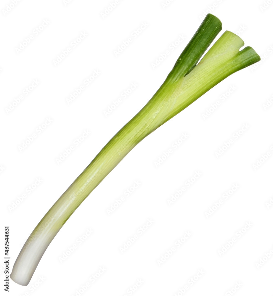 Green onion isolated on white background
Green onion isolated on white background