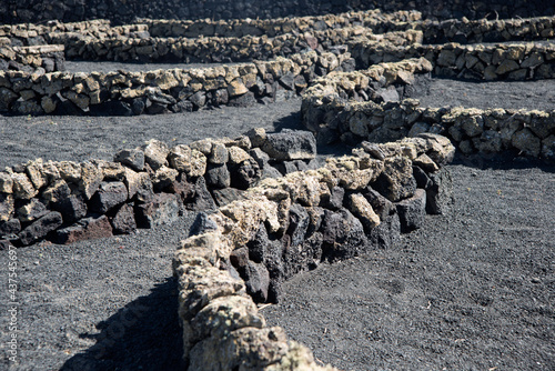 Close up of gerias, stone walls in semi circles to protect vineyards. Lanzarote, Canary islands, Spain photo