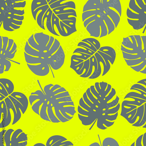 Closeup of monstera leaves for fabric design. Tropical jungle leaves seamless pattern.