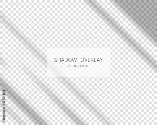 Shadow overlay effect. Natural shadows from window isolated on transparent background. Vector illustration. 