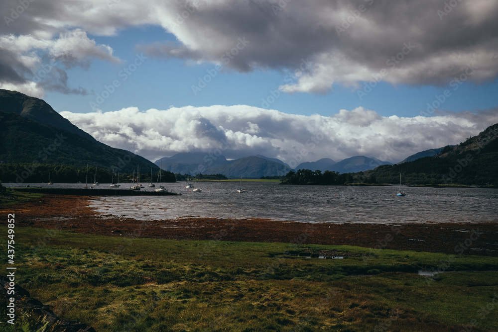 Naklejka premium Glncoe