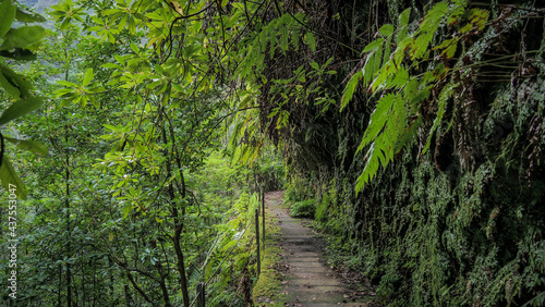 Madeira is a Portuguese island with magnificent nature and hiking trails.