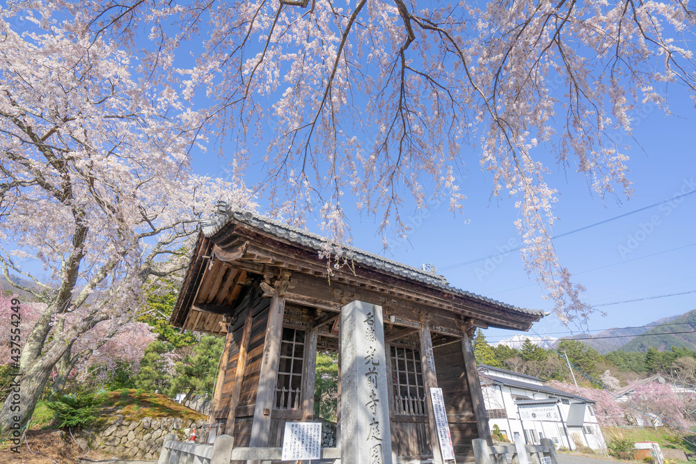 Obraz premium 光前寺