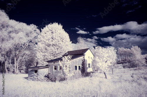 infrared photography - ir photo of landscape with tree under sky with clouds - the art of our world and plants in the infrared camera spectrum © klickit24