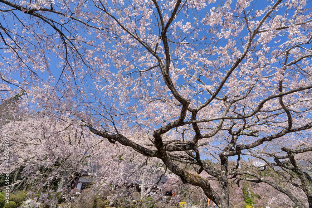 光前寺 光前寺
