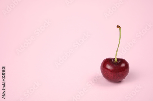 Cherry on pink pain background. Empty space for text