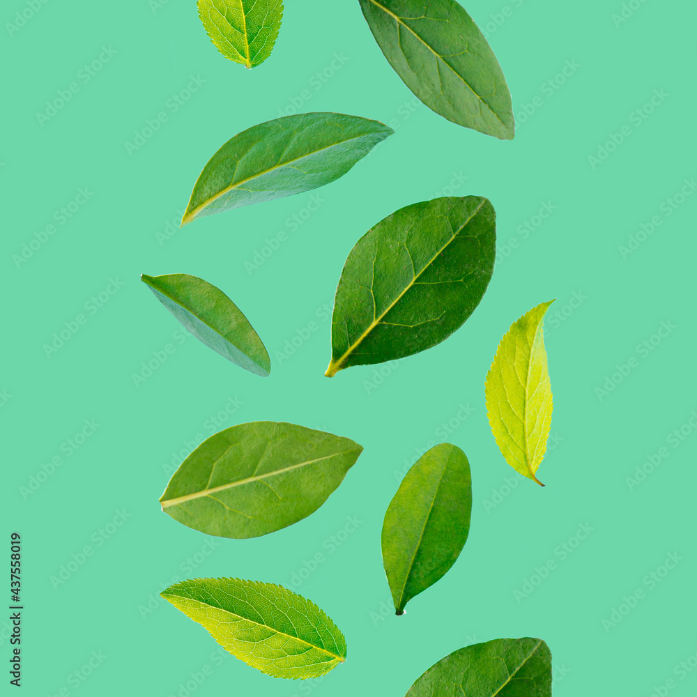 Summer pattern with green and yellow leaves on a pastel green background. Nature Abstract 3D Ad Background Art.