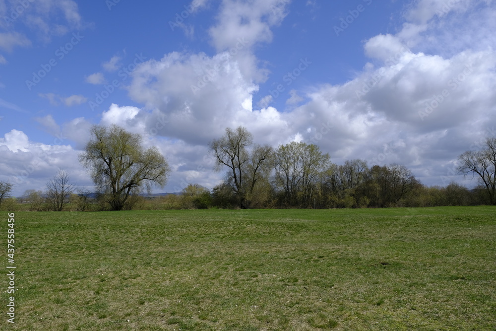 Naturschutzgebiet Mainaue bei Augsfeld, Landkreis Hassberge, Unterfranken, Franken, Bayern, Deutschland Naturschutzgebiet Mainaue bei Augsfeld, Landkreis Hassberge, Unterfranken, Franken, Bayern, Deutschland