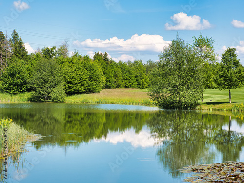 Fototapeta Naklejka Na Ścianę i Meble -  a small pond with trees on the shore area on a sunny day with few clouds. Reflections in the water. Seen in the municipality of Hildisrieden, Switzerland
