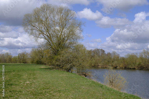 Naturschutzgebiet Mainaue bei Augsfeld, Landkreis Hassberge, Unterfranken, Franken, Bayern, Deutschland