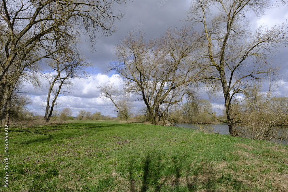 Naturschutzgebiet Mainaue bei Augsfeld, Landkreis Hassberge, Unterfranken, Franken, Bayern, Deutschland Naturschutzgebiet Mainaue bei Augsfeld, Landkreis Hassberge, Unterfranken, Franken, Bayern, Deutschland