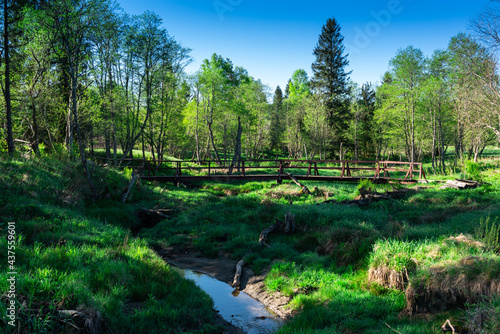 Fototapeta Naklejka Na Ścianę i Meble -  Wild Nature Reserve in Tarnawa Moors in Bieszczady Park in Poland. Carpathia Mountains