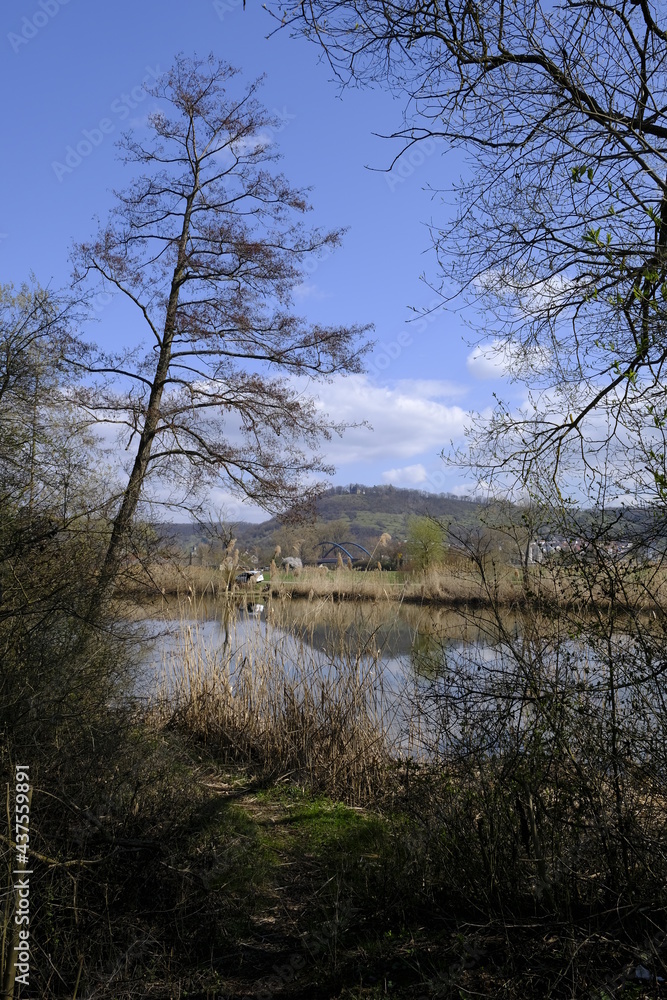 Sander Baggerseen im Naturschutzgebiet Mainaue bei Augsfeld, Landkreis Hassberge, Unterfranken, Franken, Bayern, Deutschland