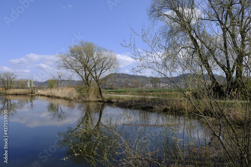 Naturschutzgebiet Mainaue bei Augsfeld, Landkreis Hassberge, Unterfranken, Franken, Bayern, Deutschland