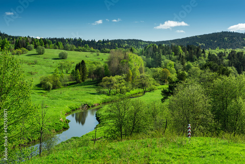 Fototapeta Naklejka Na Ścianę i Meble -  San River and Border Post on Polish Ukraine Frontier in Bieszczady Park, Poland at Sumer.