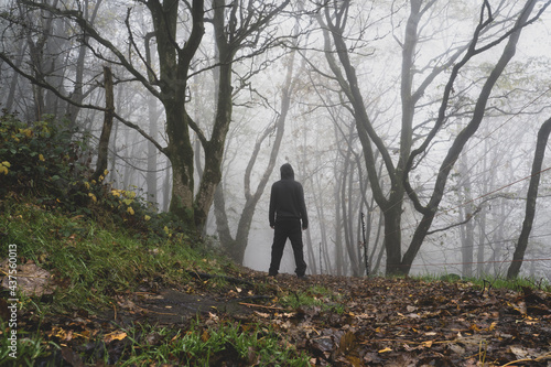 A sinister hooded figure, back to camera, on a path through a moody misty winter woodland