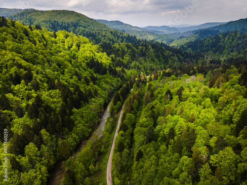 Fototapeta Naklejka Na Ścianę i Meble -  Bieszczady Mountains in Poland at Spring. Green Spruce Trees on Hills. Drone View.