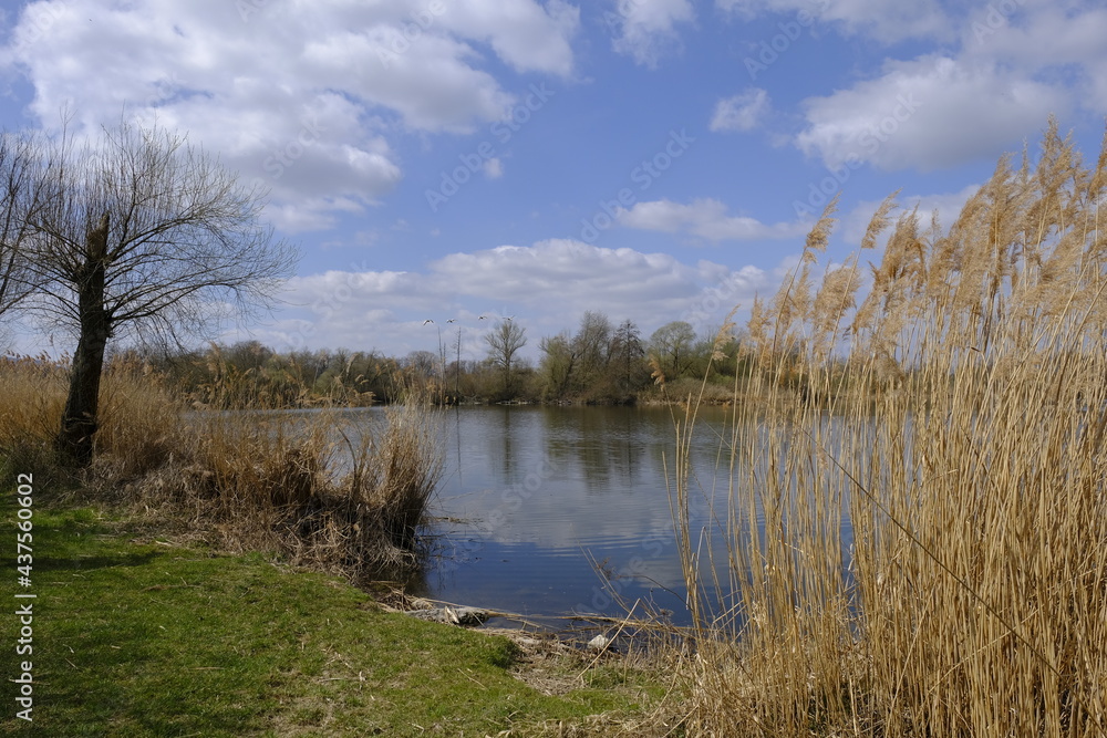 Sander Baggerseen im Naturschutzgebiet Mainaue bei Augsfeld, Landkreis Hassberge, Unterfranken, Franken, Bayern, Deutschland Sander Baggerseen im Naturschutzgebiet Mainaue bei Augsfeld, Landkreis Hassberge, Unterfranken, Franken, Bayern, Deutschland