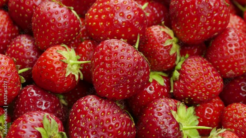 Strawberries are rotting, Mold and bacteria, Fruit quickly small