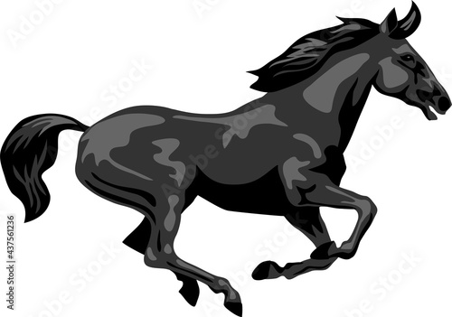 Black horse galloping - vector illustration