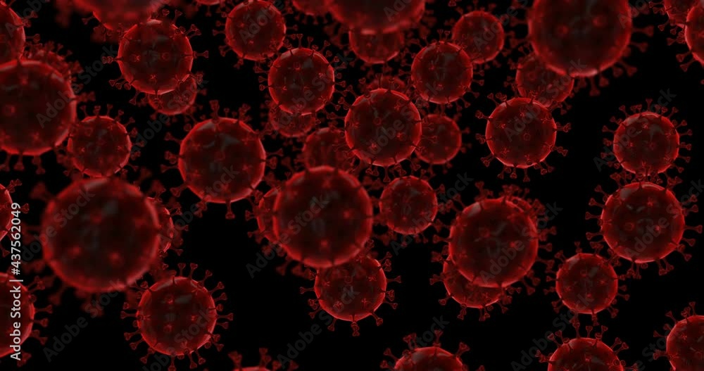 Red Virus Cells falling slow motion Red Virus Cells falling slow motion