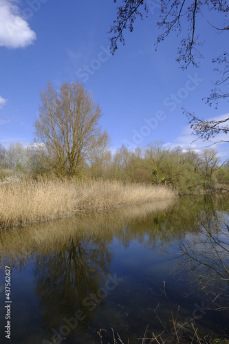 Sander Baggerseen im Naturschutzgebiet Mainaue bei Augsfeld, Landkreis Hassberge, Unterfranken, Franken, Bayern, Deutschland.