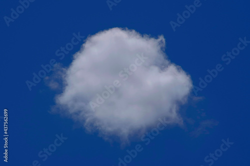 Round, white cloud against the blue sky.