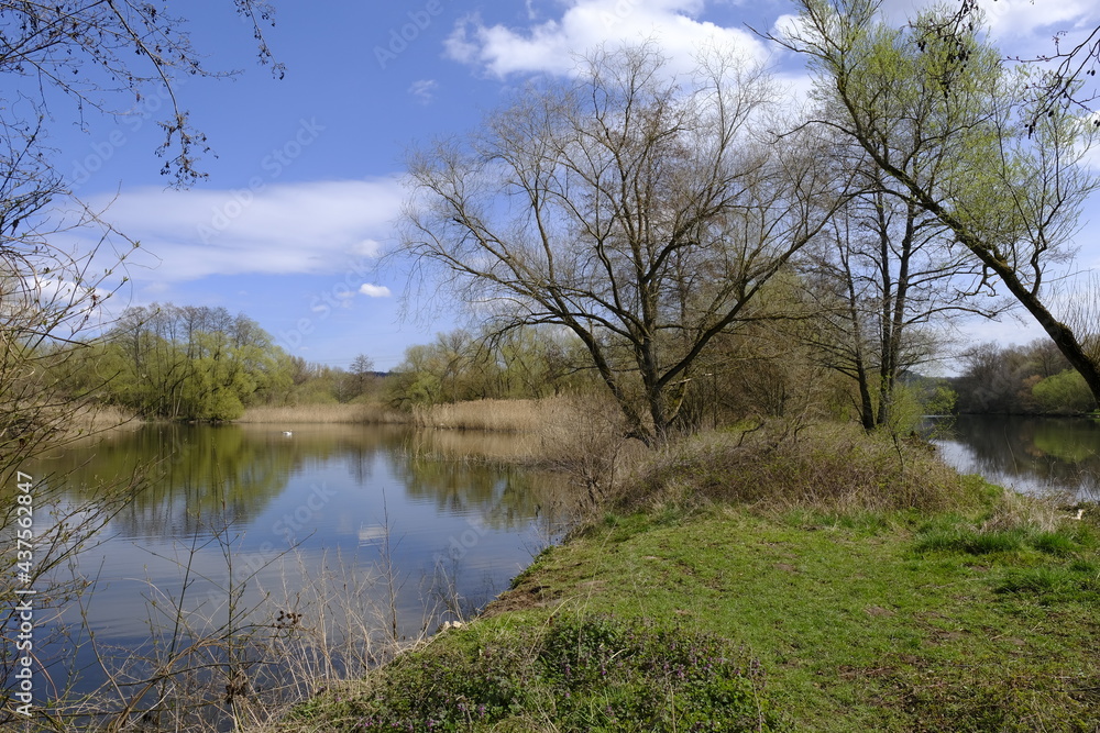 Sander Baggerseen im Naturschutzgebiet Mainaue bei Augsfeld, Landkreis Hassberge, Unterfranken, Franken, Bayern, Deutschland. Sander Baggerseen im Naturschutzgebiet Mainaue bei Augsfeld, Landkreis Hassberge, Unterfranken, Franken, Bayern, Deutschland.